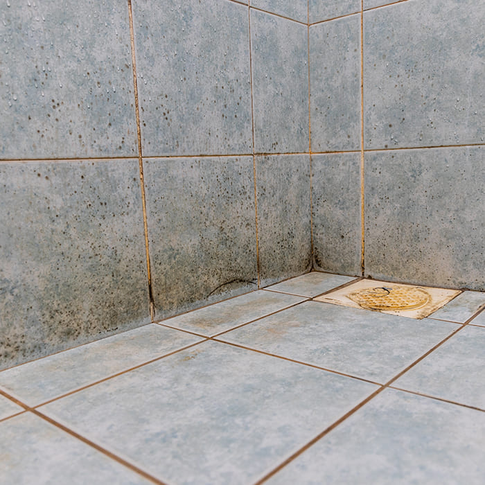 Kwaadaardig werknemer Verzoenen Zwarte schimmel in de badkamer - Hoe kan dat? | SmartDry