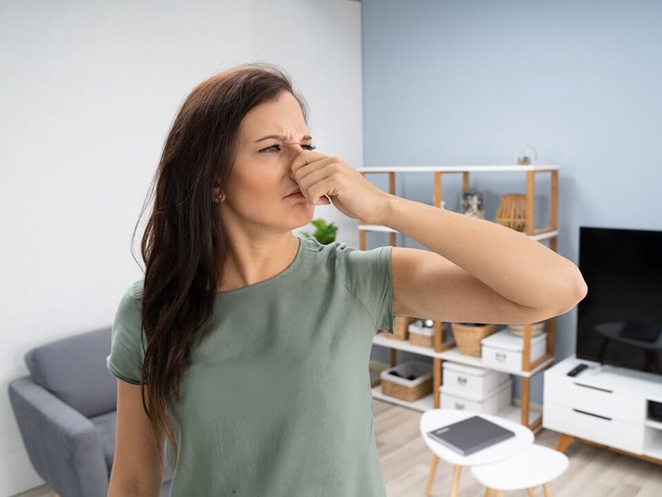 Schimmel op de muur Dé permanente oplossing SmartDry